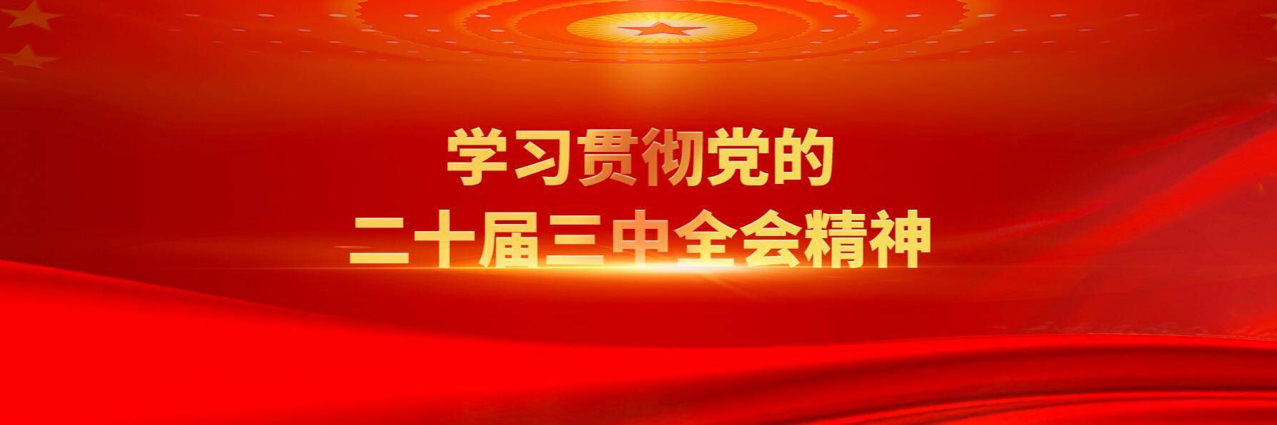 學(xué)習(xí)貫徹黨的二十屆三中全會(huì)精神
