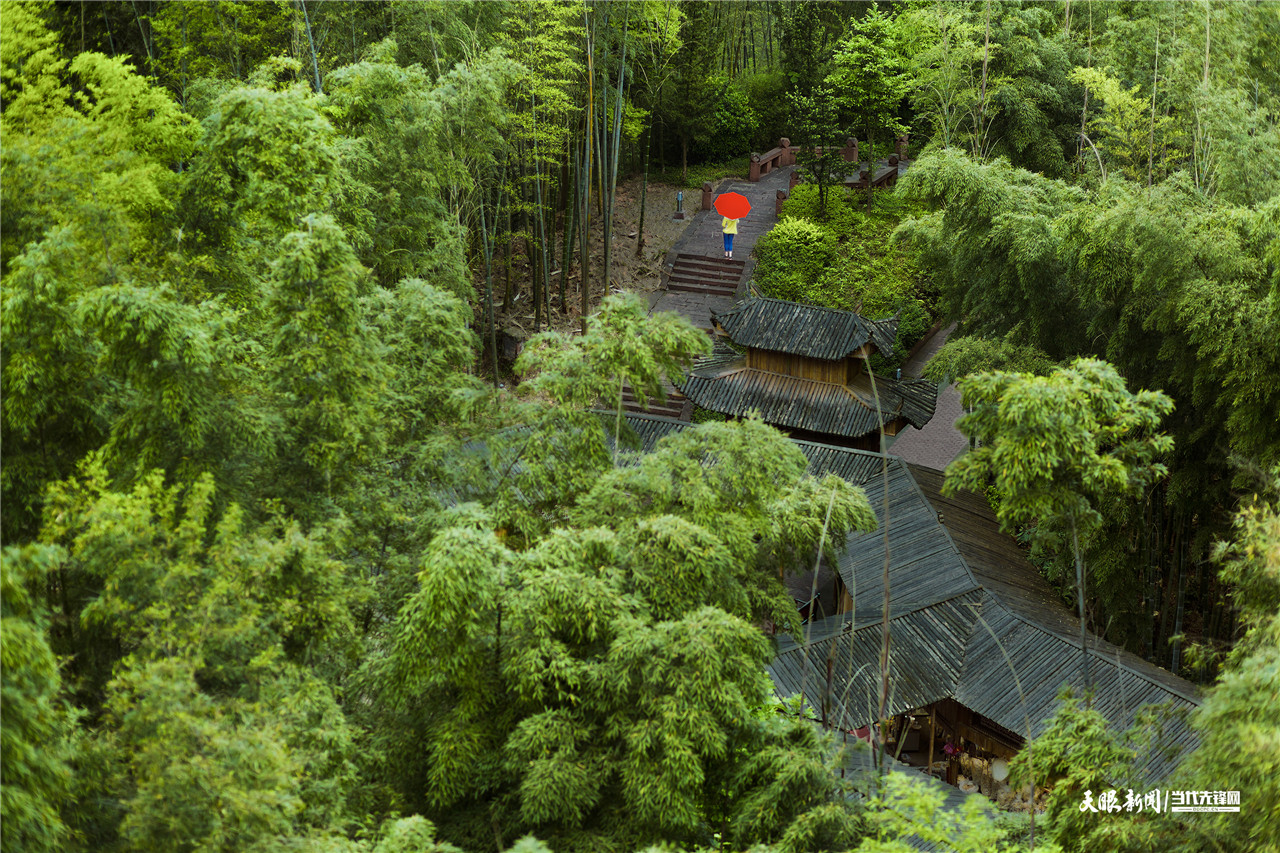 71208-赤水竹海.jpg